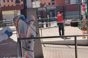  Dos empresas intensifican los tratamientos biocidas en las zonas más sensibles de Telde (Foto TA)